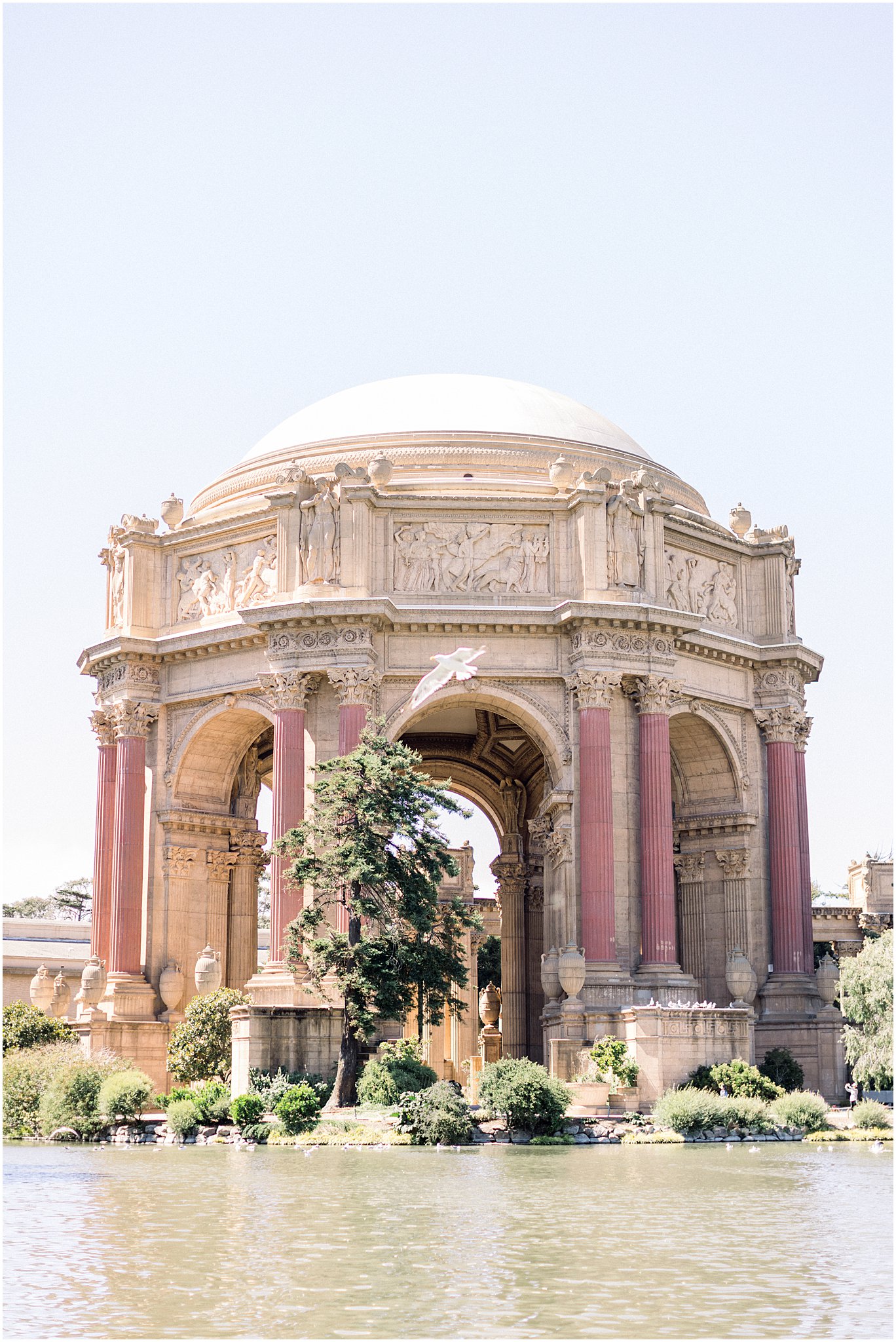 Palace of Fine Arts San Francisco - Engagement Session