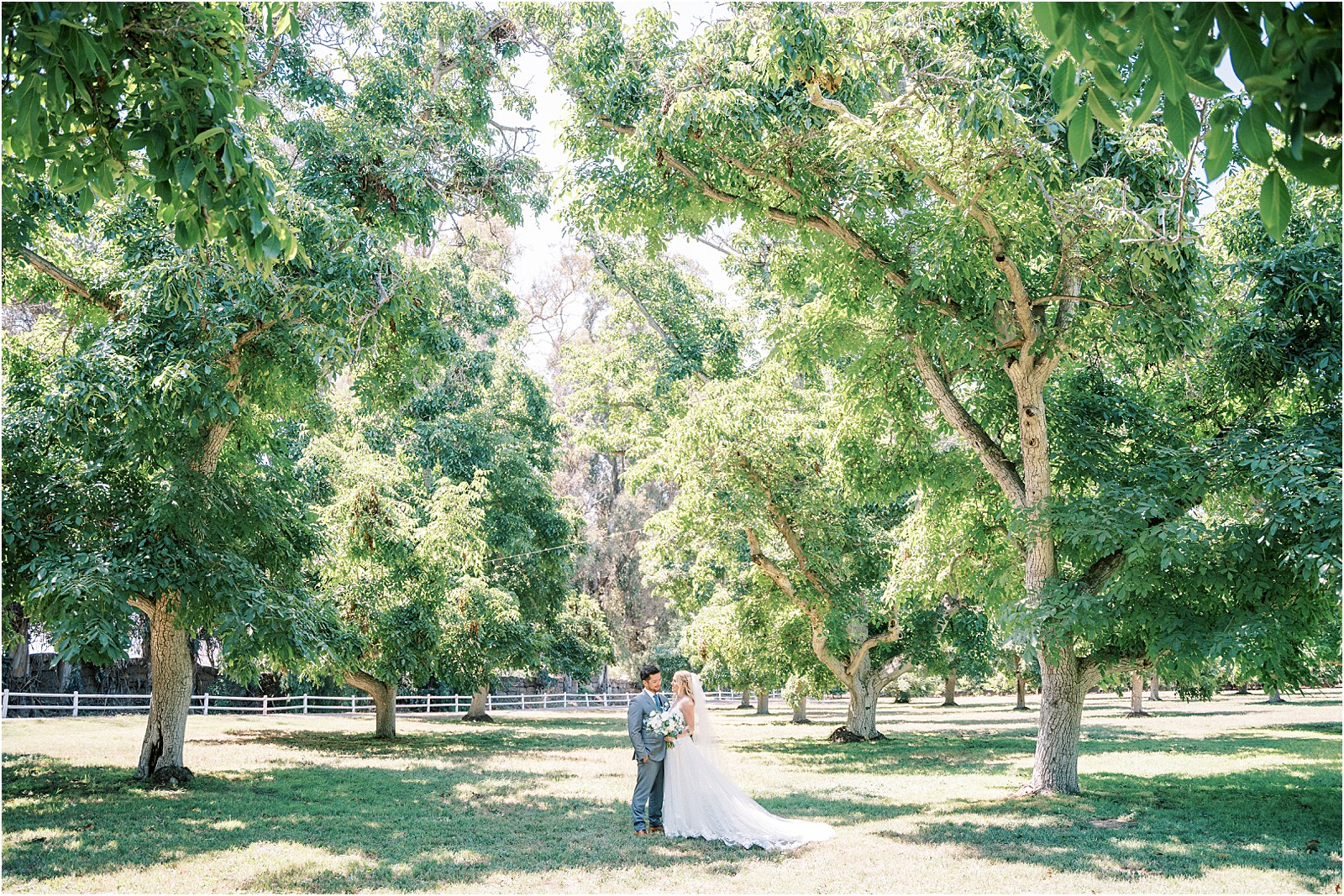 Bride and groom amongst the orchard of trees at Walnut Grove in Moorpark, Ca.