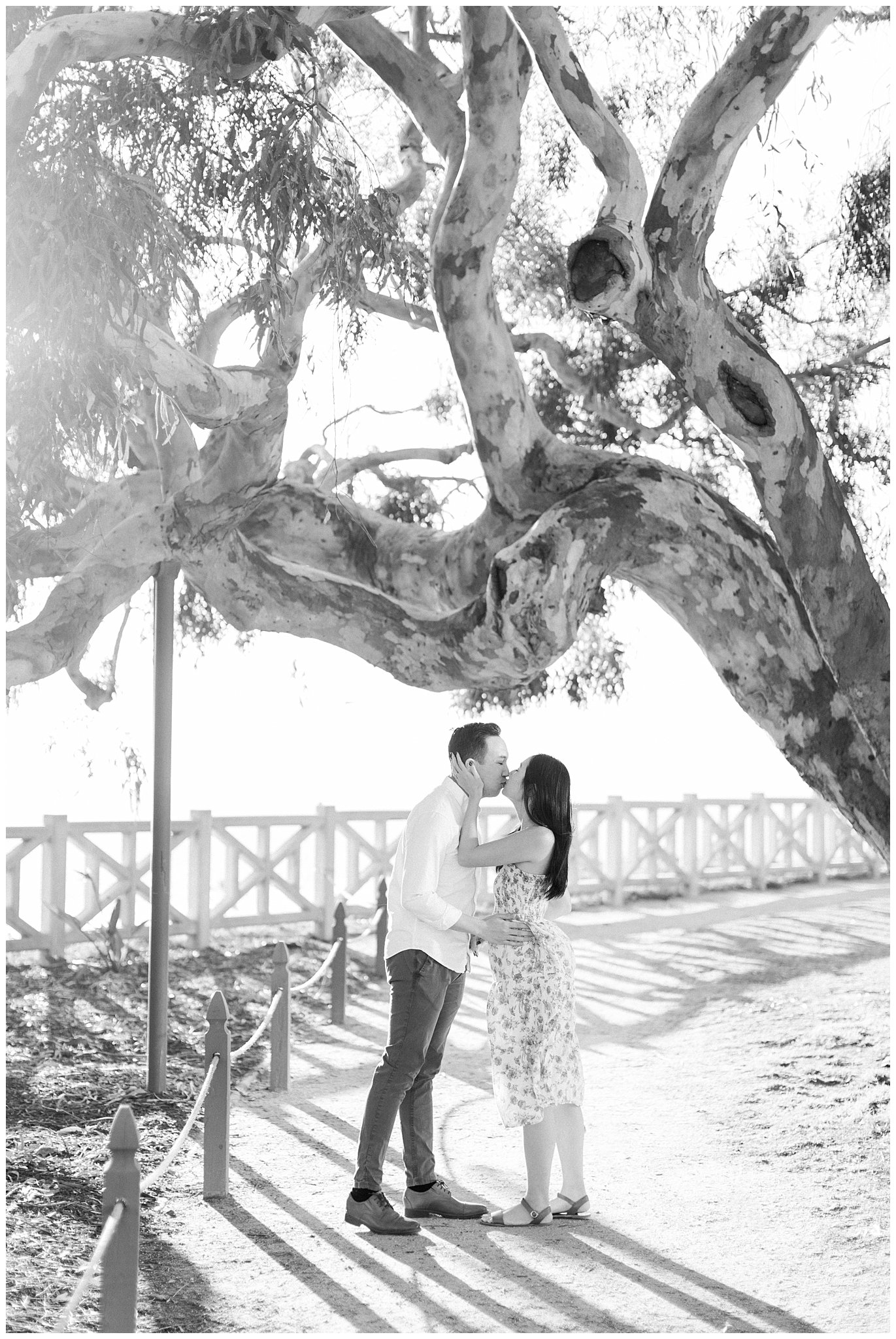 A couple kissing under a large tree during their engagement session in Santa Monica.