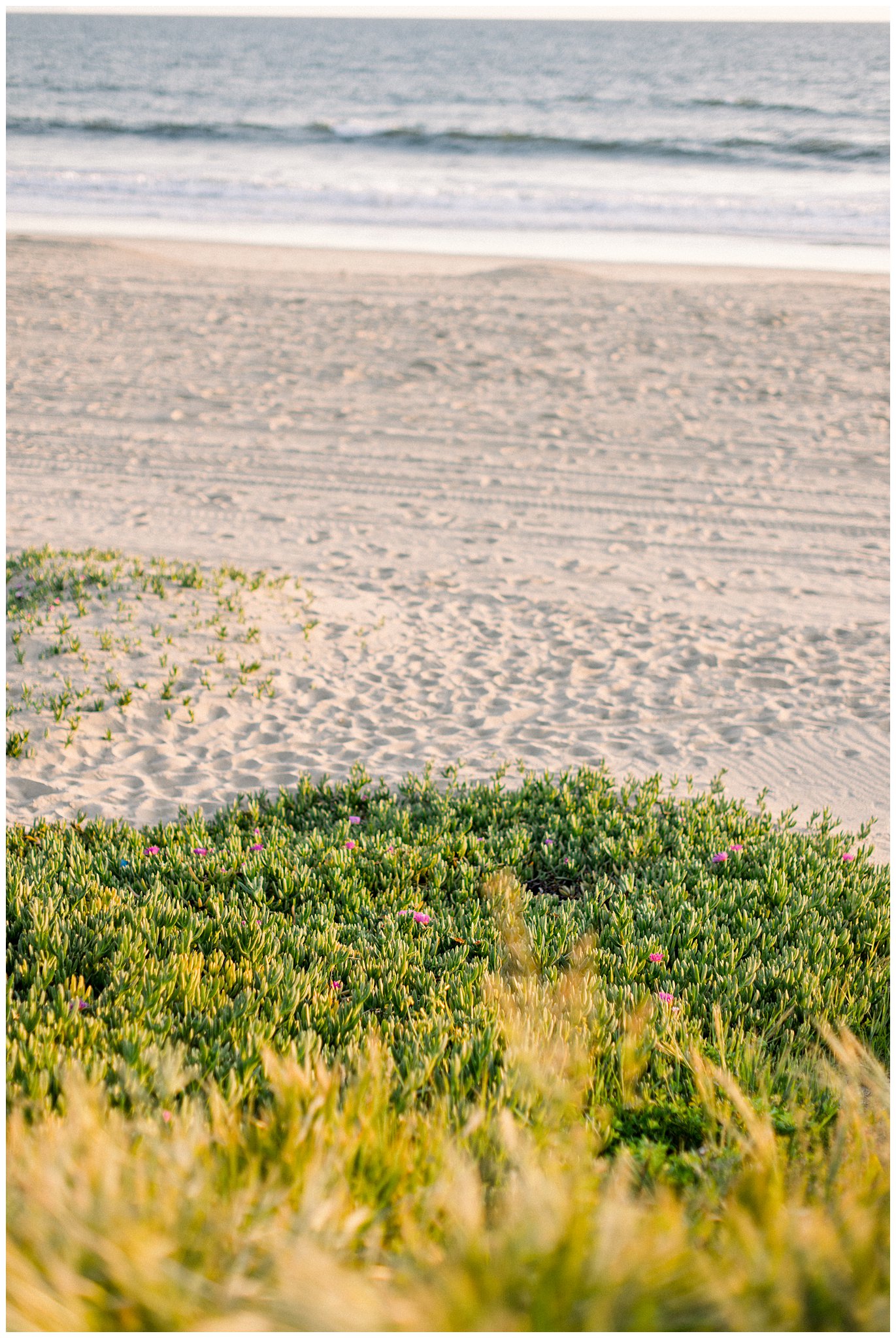 Golden sand at Will Rogers State Beach.  