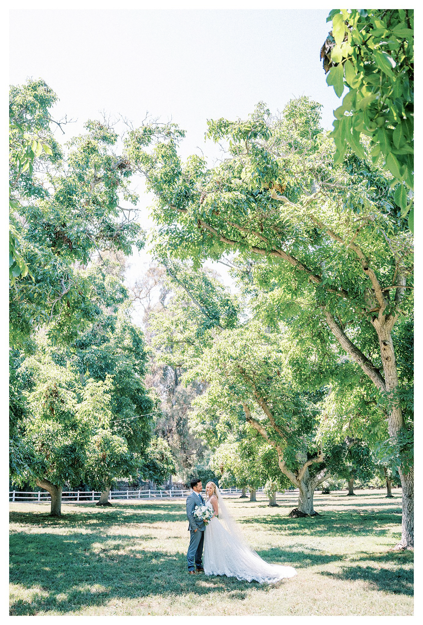 Groom looks at his bride during their portraits at a Walnut Grove wedding.  