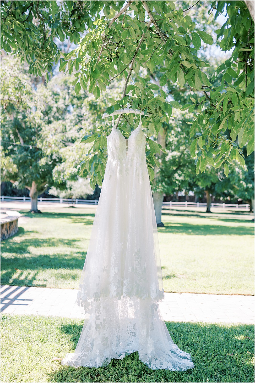 A wedding dress hanging from the tree at Walnut Grove in Moorpark, Ca.