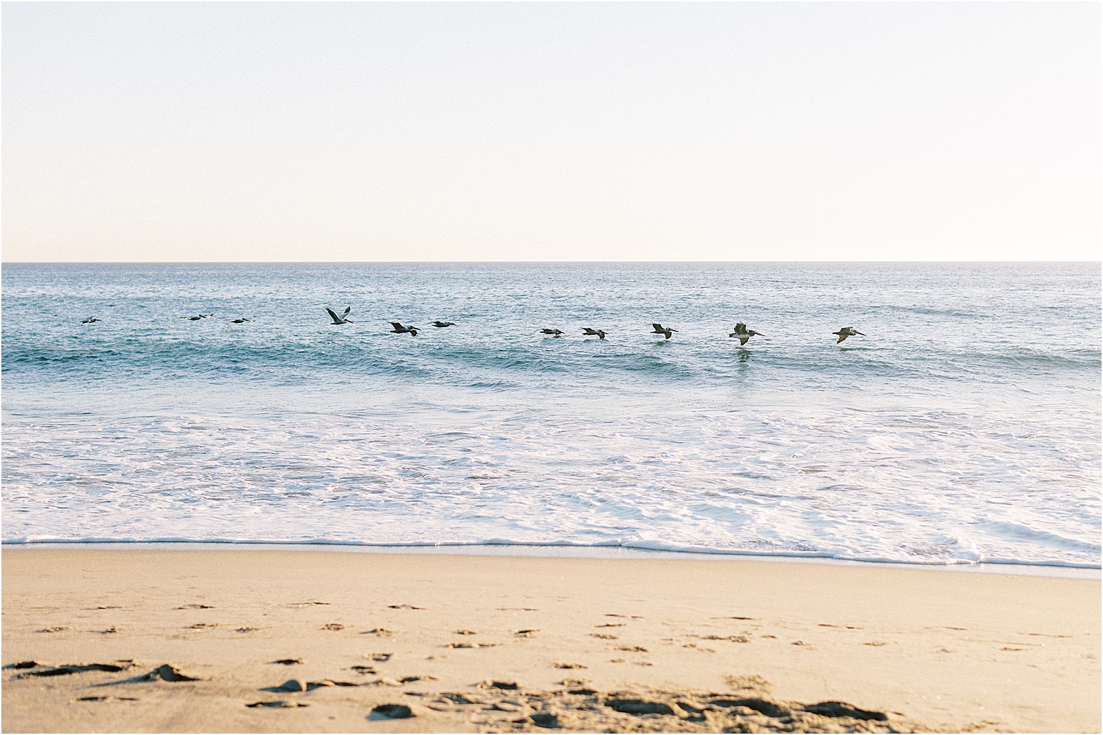 Birds flying over pacific ocean at Leo Carrillo beach.